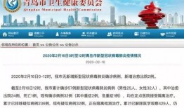 今日青岛爆料最新消息,揭秘神秘事件背后的真相